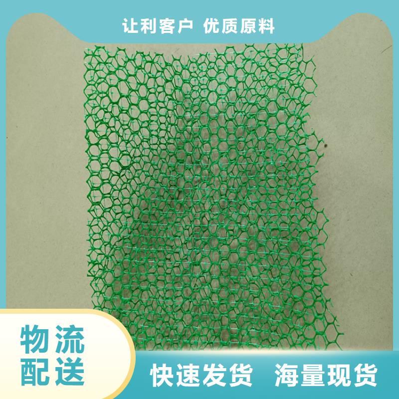 三维植被网土工布行业优选