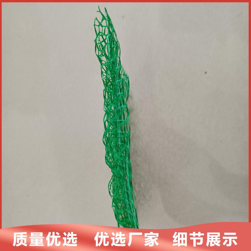 三维植被网土工布行业优选