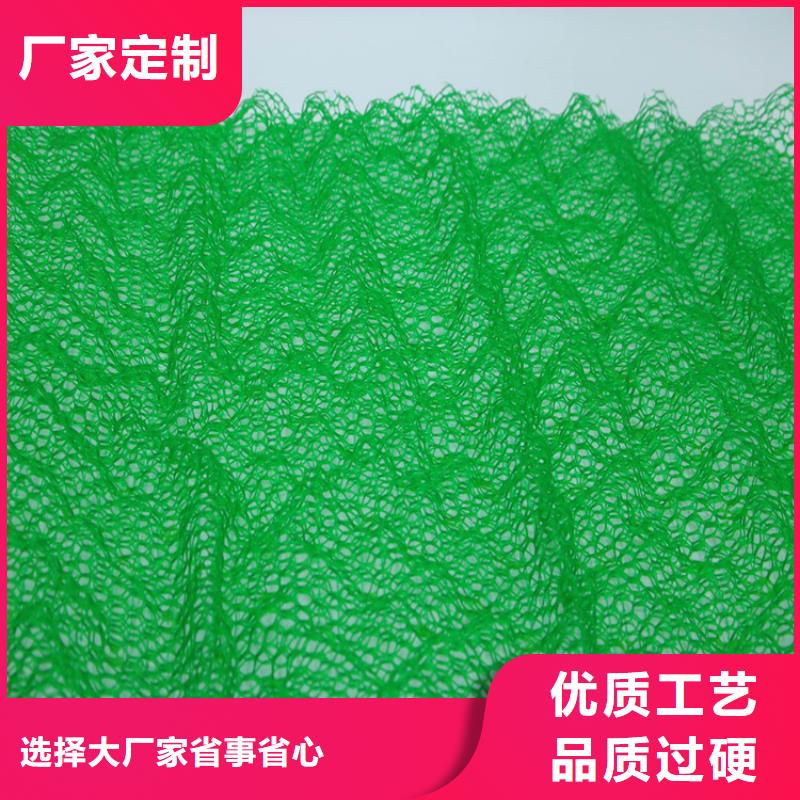 三维植被网土工布行业优选