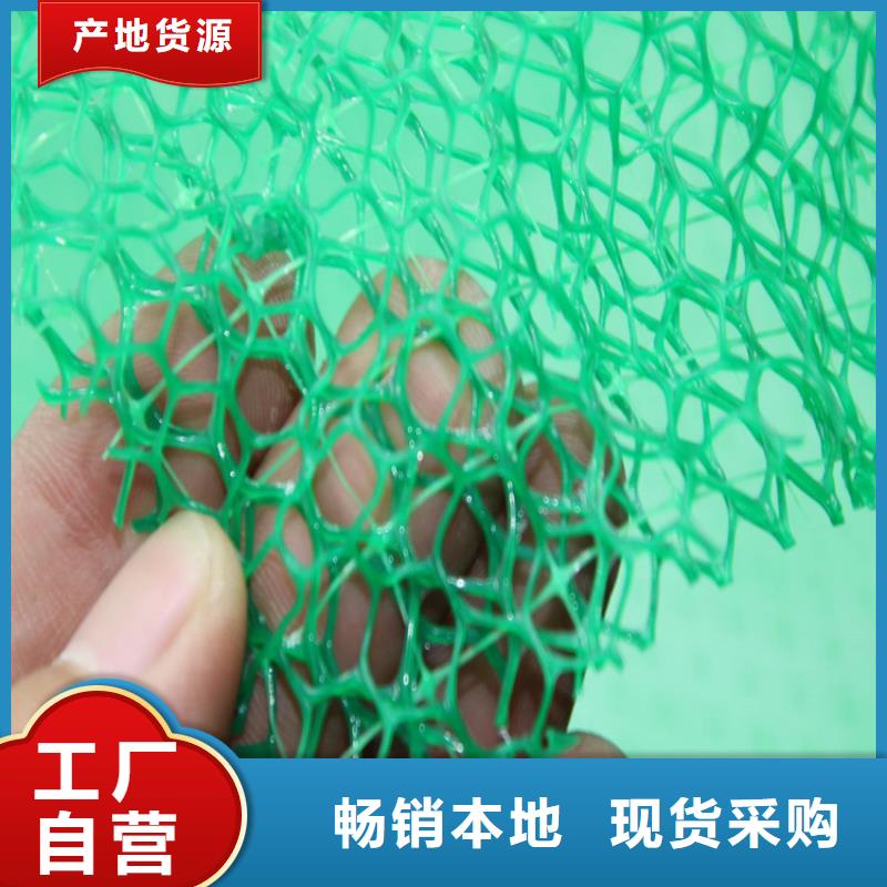 三维植被网土工布行业优选