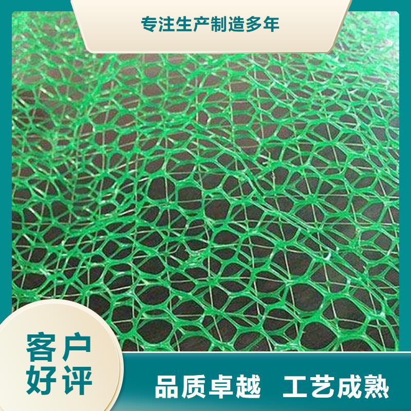 三维植被网土工布行业优选