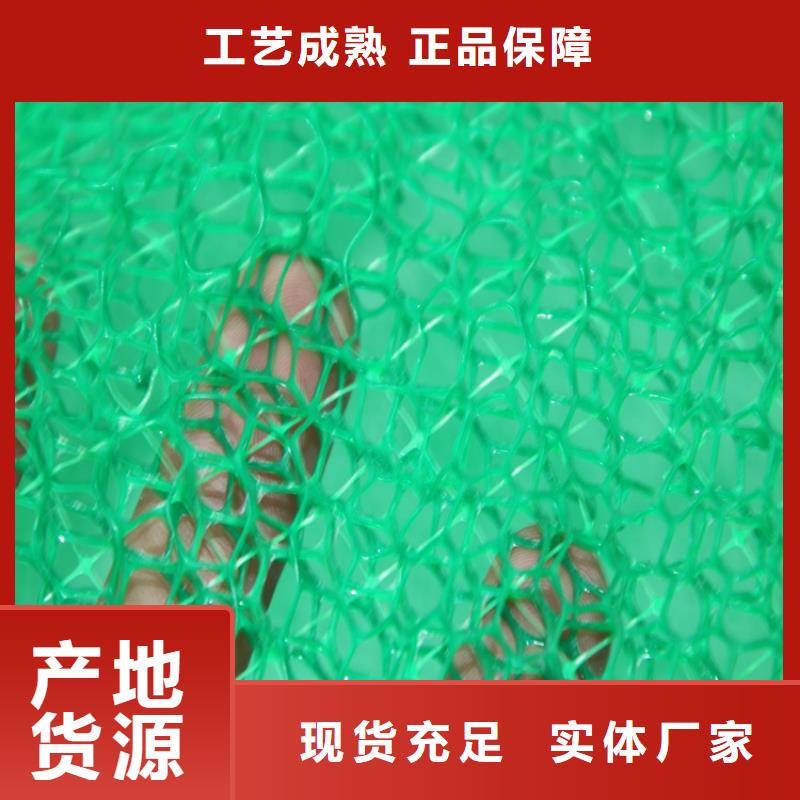 三维植被网土工布行业优选