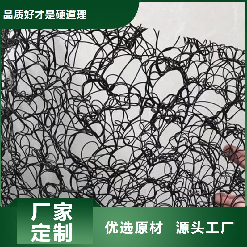 通风降噪丝网钢塑土工格栅出货快
