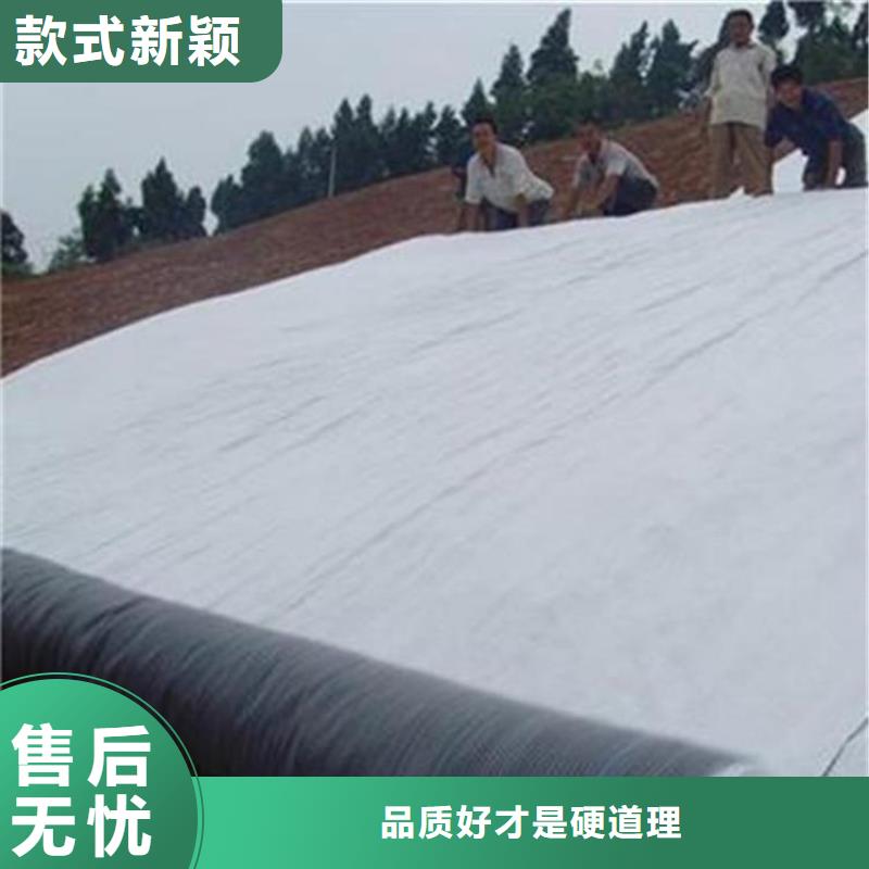 塑料盲沟-视频-塑料盲沟-鼎诺土工材料(泰州市分公司)服务区域靖江|泰兴|扬州|常州|苏州|镇江