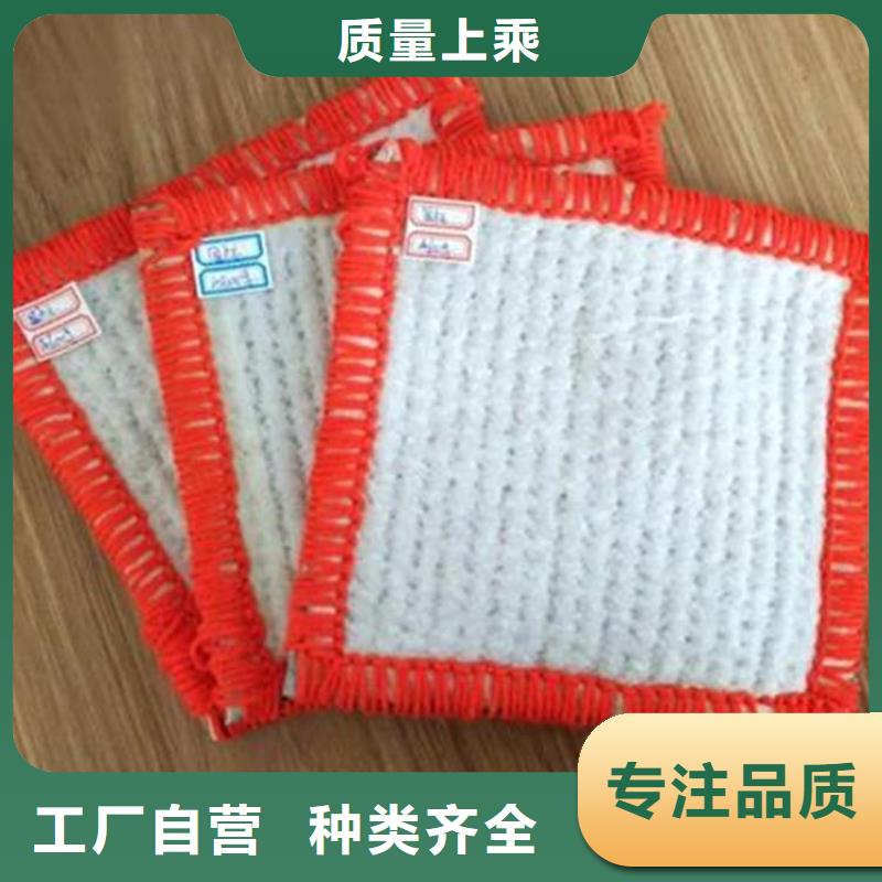 【膨润土防水毯_塑料盲沟工厂直供】