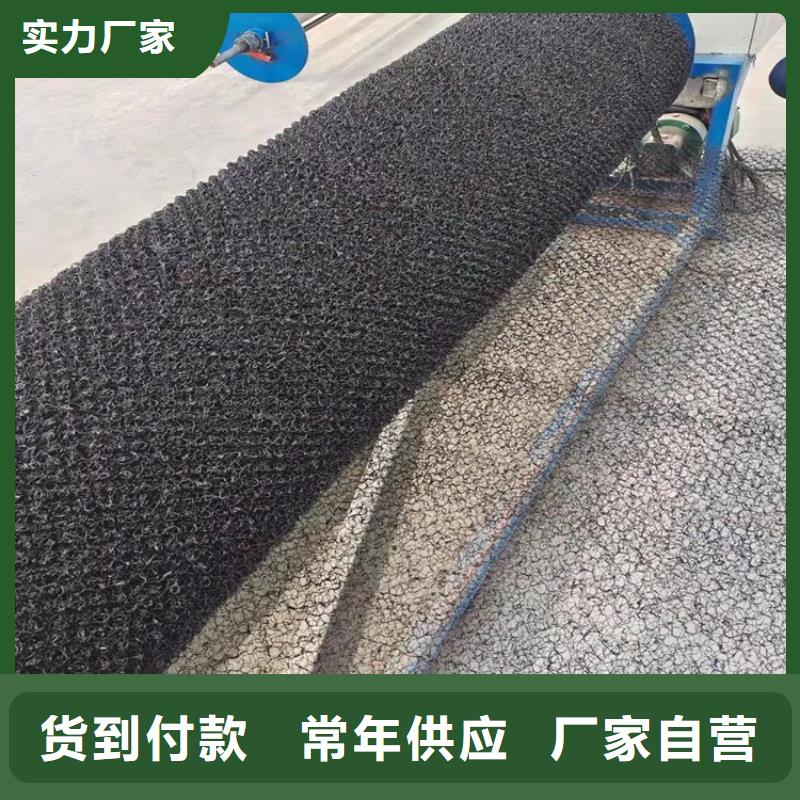 水土保护毯HDPE土工膜工厂直营