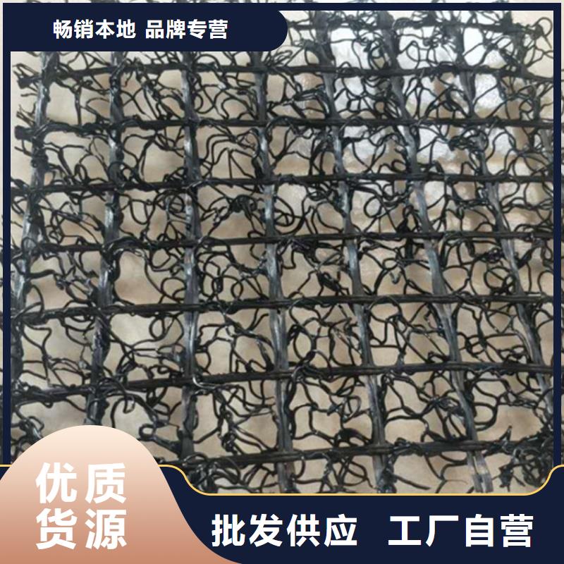 水土保护毯-涤纶格栅库存充足