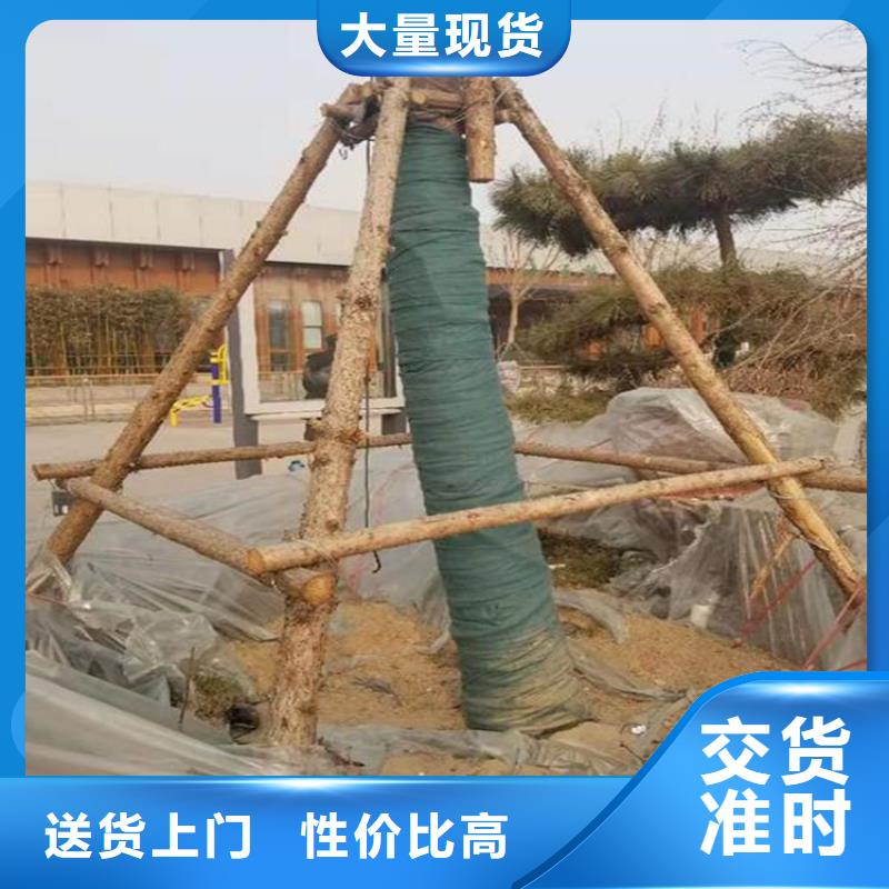 裹树布HDPE土工膜多家仓库发货