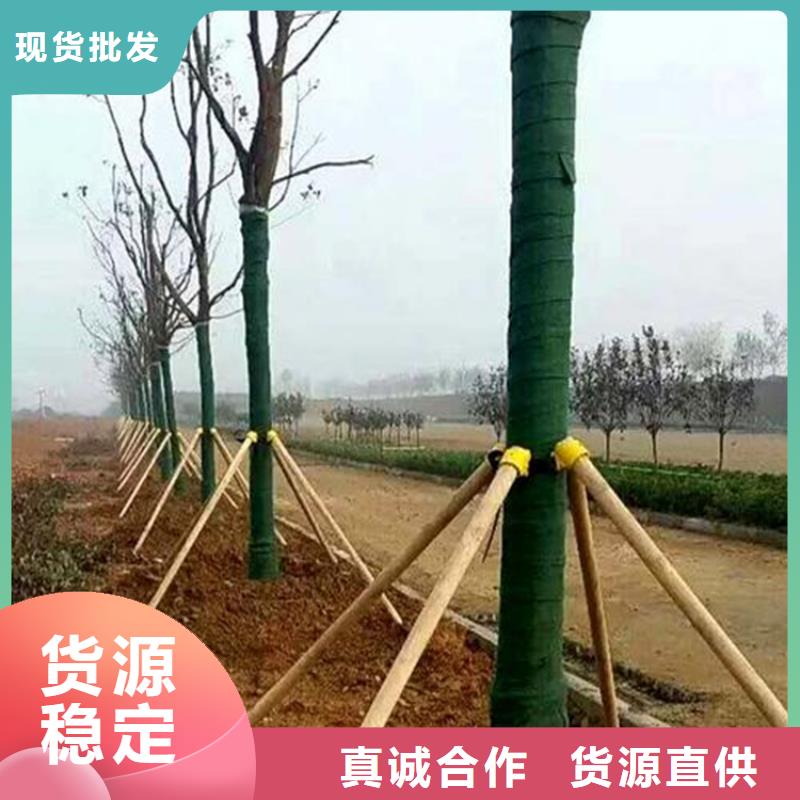 塑料盲沟视频-台州|嘉兴|湖州|宁波|衢州|绍兴|丽水鼎诺塑料盲沟_ 鼎诺土工材料(浙江省分公司)