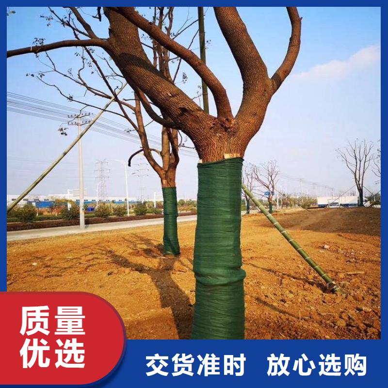 塑料盲沟视频-塑料盲沟-鼎诺土工材料(泰安市分公司)服务区域肥城|新泰|临沂|威海|东营|聊城|济宁