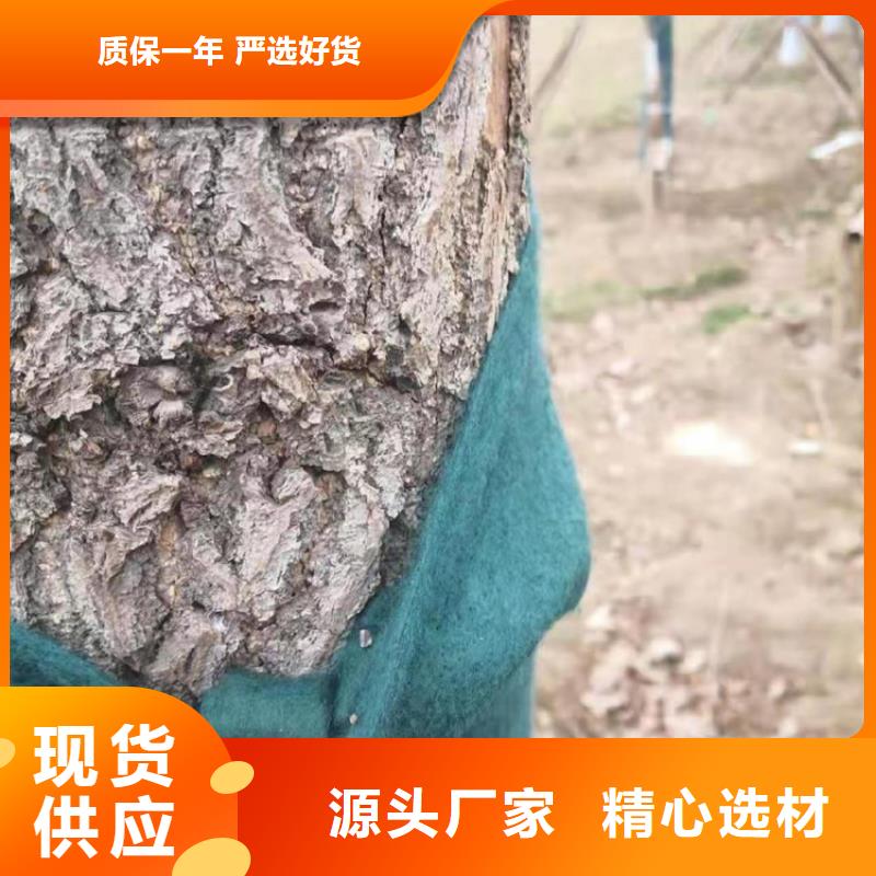 裹树布HDPE土工膜多家仓库发货