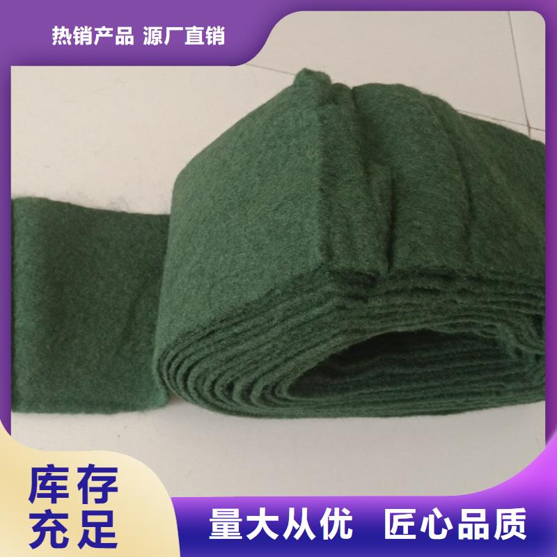 裹树布土工格栅款式多样