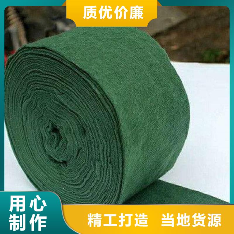 裹树布土工格栅款式多样