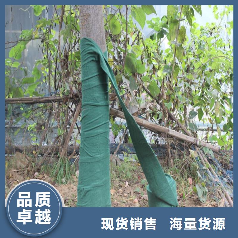 裹树布涤纶格栅现货直供