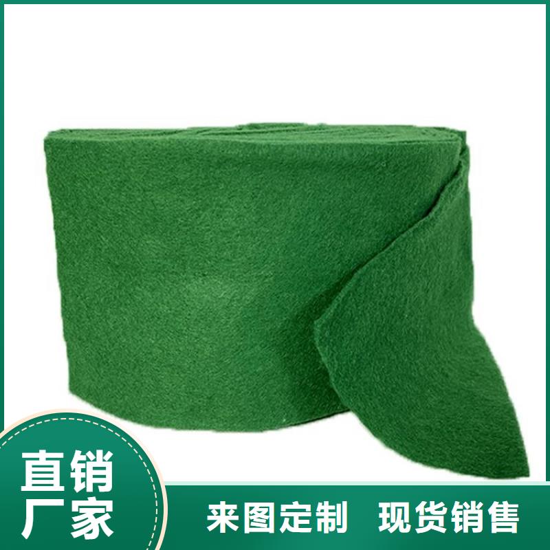 裹树布土工格栅款式多样