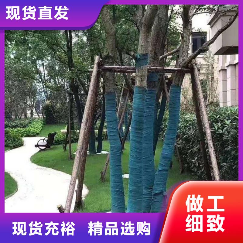 塑料盲沟视频-塑料盲沟-鼎诺土工材料(泰安市分公司)服务区域肥城|新泰|临沂|威海|东营|聊城|济宁
