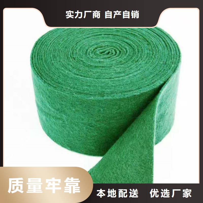 裹树布土工格栅款式多样