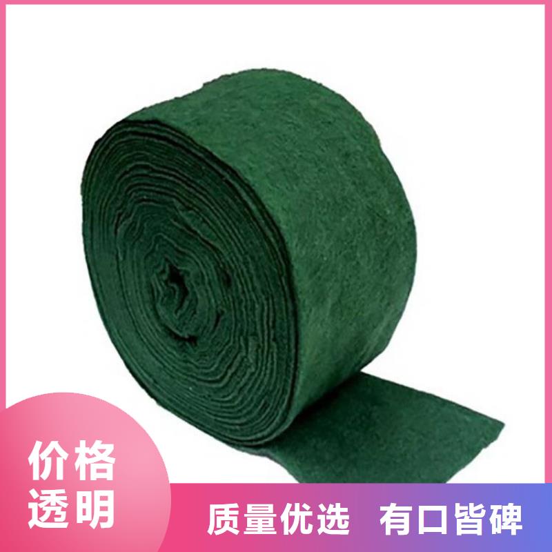 裹树布土工格栅款式多样