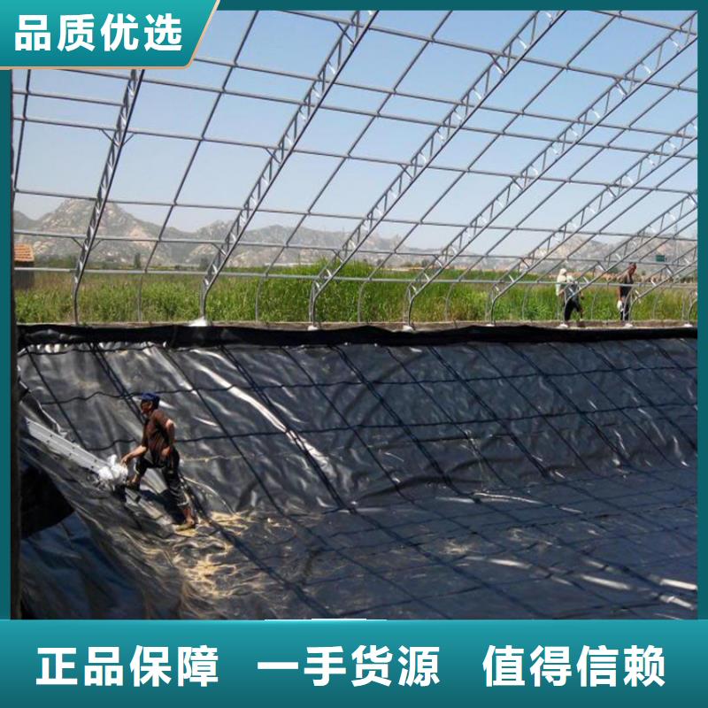塑料盲沟视频-江苏省淮安市中齐塑料盲沟可服务区域洪泽|淮阴|常州|南通|盐城|扬州|徐州|苏州等