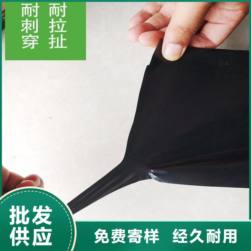 塑料盲沟-视频-塑料盲沟-中齐建材(鄂尔多斯市分公司)服务区域赤峰|呼和浩特|乌兰察布|阿拉善|呼伦贝尔|兴安|乌海