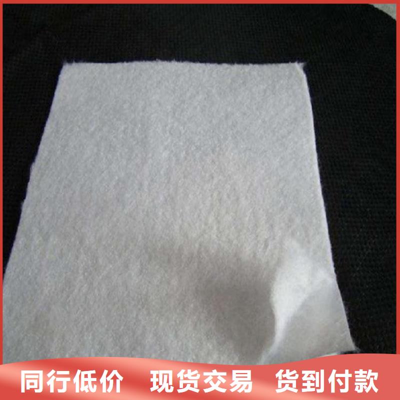 塑料盲沟-视频-塑料盲沟|衡水市|武强|安平|承德|沧州|石家庄|廊坊|秦皇岛