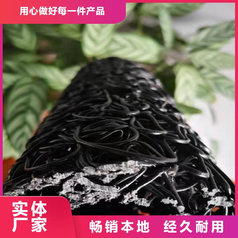 塑料盲沟三维植被网常年出售