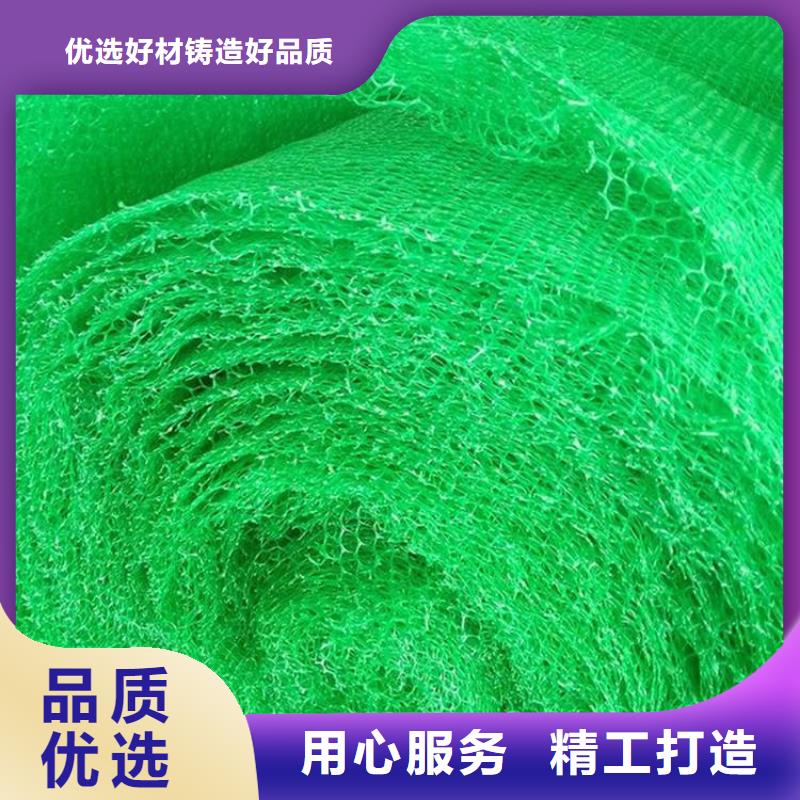 三维土工网垫来厂考察