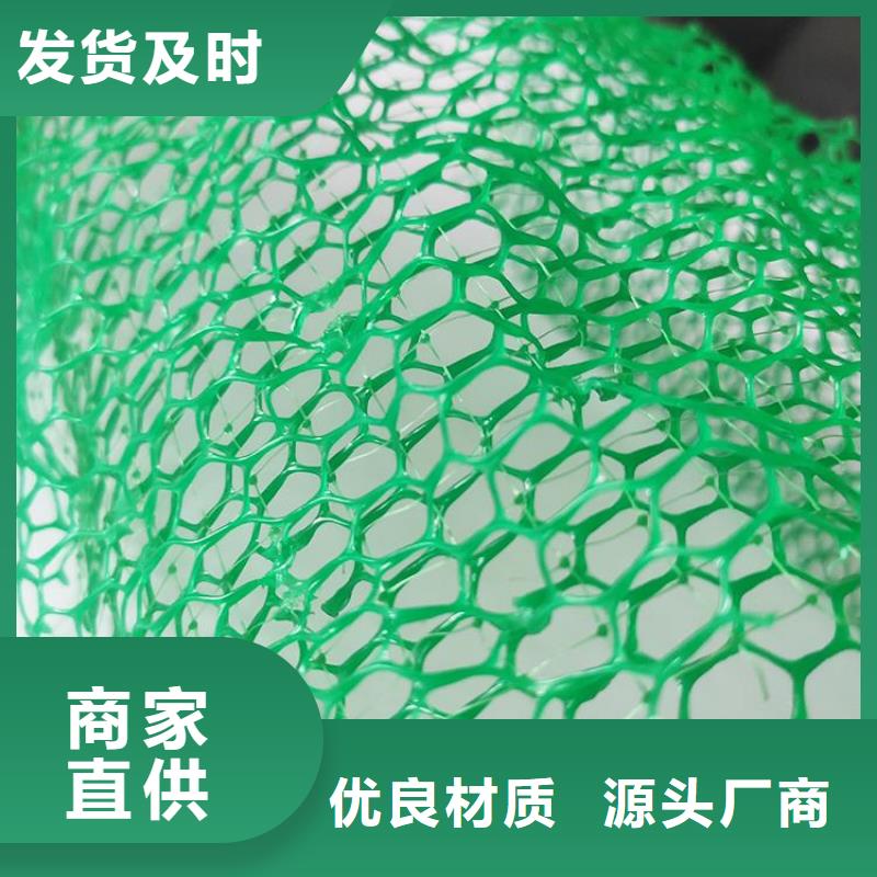 三维植被网-土工格栅厂家直发