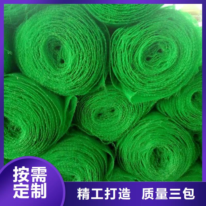 三维植被网-土工格栅厂家直发