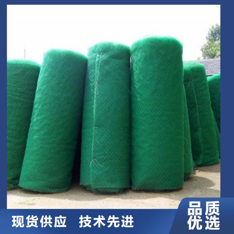 三维护坡植草网垫结构
