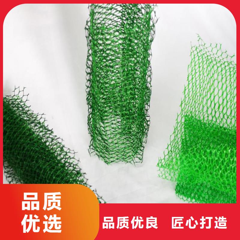 三维土工网垫来厂考察