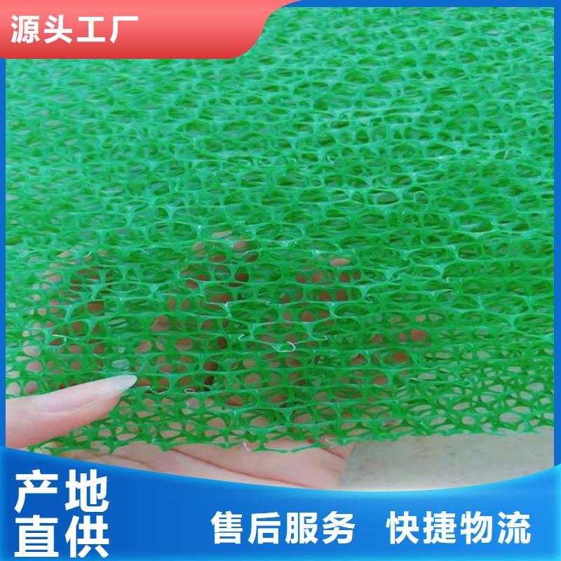 三维土工网垫来厂考察