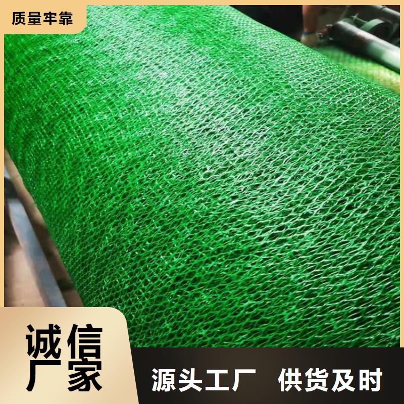 三维护坡植草网垫结构