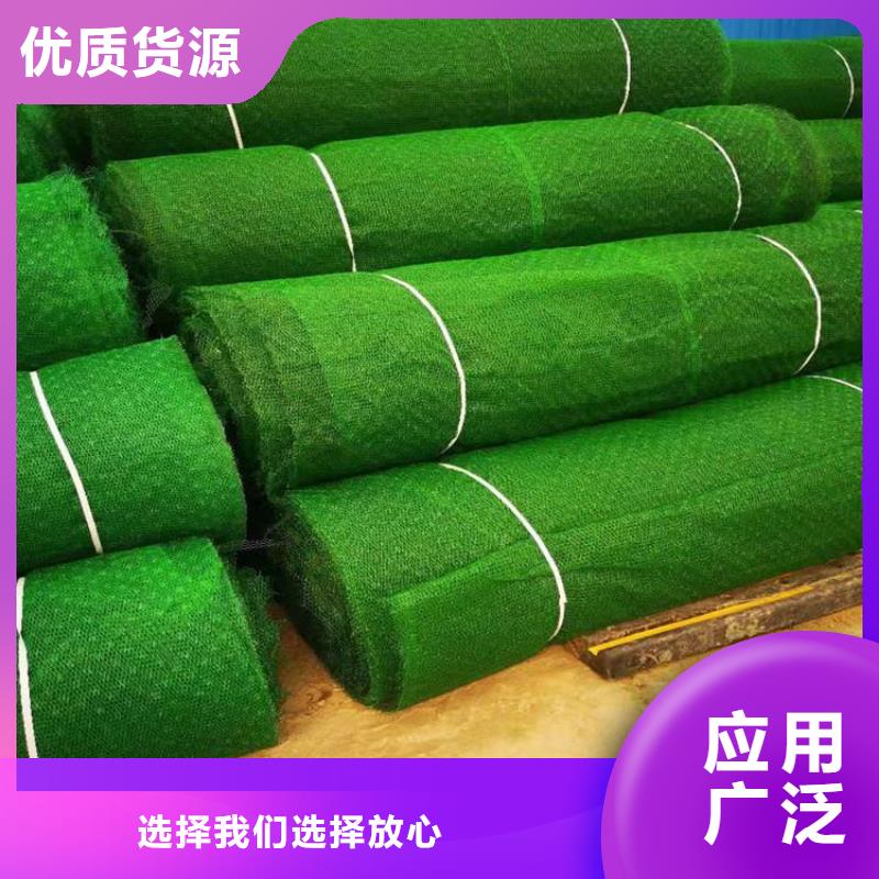 三维植草护坡网垫-EM4三维植被网代理批发/哪里有卖的