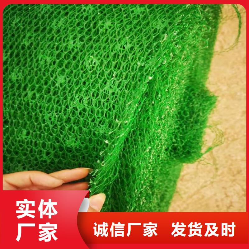 塑料盲沟视频-河南省开封市|通许|金明|新乡|漯河|鹤壁|周口塑料盲沟-中齐