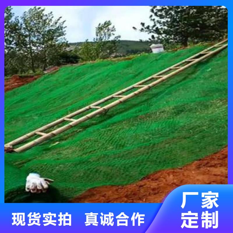 三维植草护坡网垫-EM4三维植被网代理批发/哪里有卖的