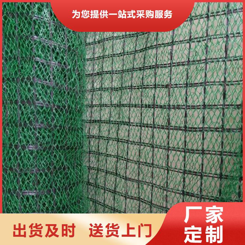 三维植被网,防渗膜实地大厂