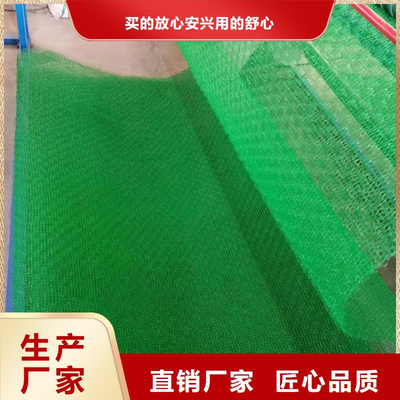 三维植被网-土工格栅厂家直发