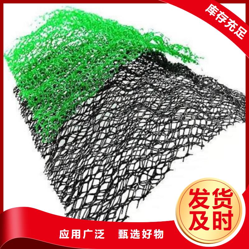三维护坡植草网垫结构