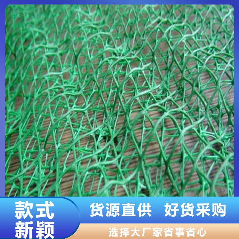 三维植被网,防渗膜实地大厂
