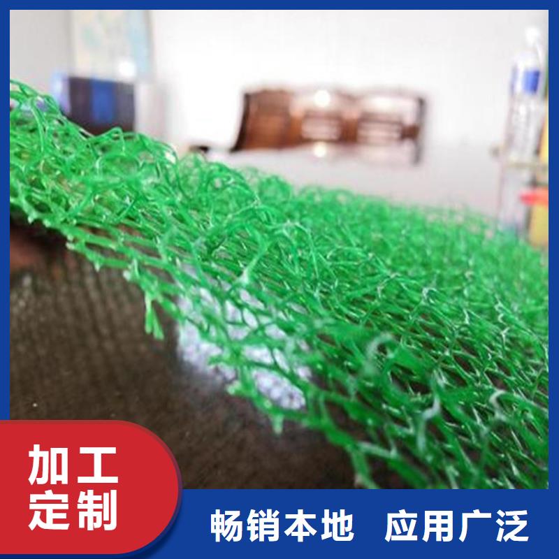 三维植被网-土工格栅厂家直发