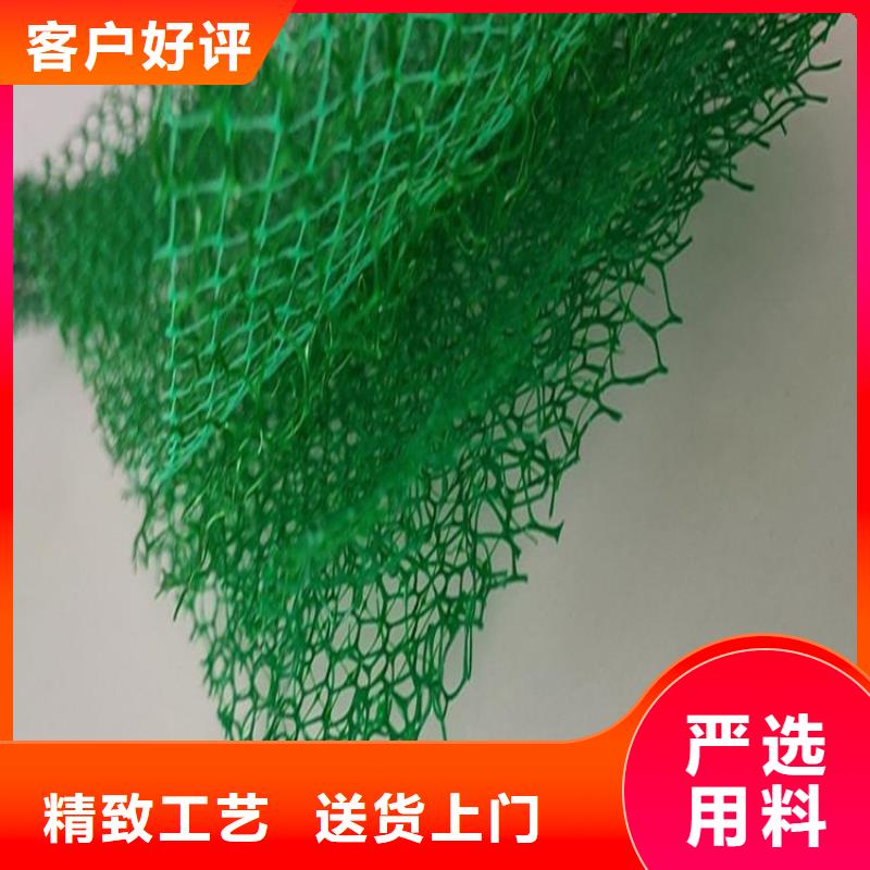 三维植草护坡网垫-EM4三维植被网代理批发/哪里有卖的