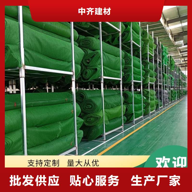 三维植草护坡网垫-EM4三维植被网代理批发/哪里有卖的