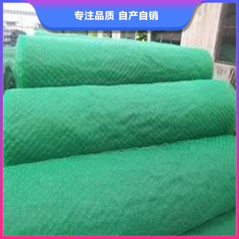 塑料盲沟视频-河南省开封市|通许|金明|新乡|漯河|鹤壁|周口塑料盲沟-中齐