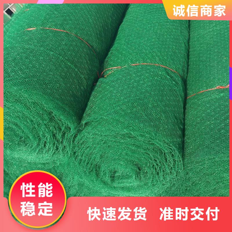 三维土工网垫来厂考察