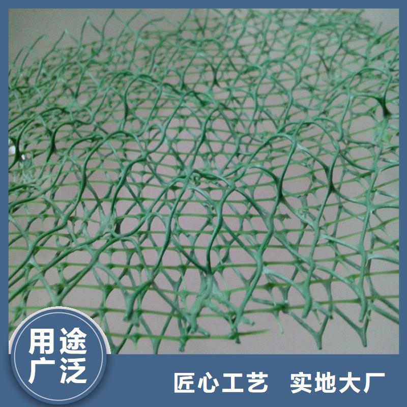 塑料盲沟视频-河南省开封市|通许|金明|新乡|漯河|鹤壁|周口塑料盲沟-中齐