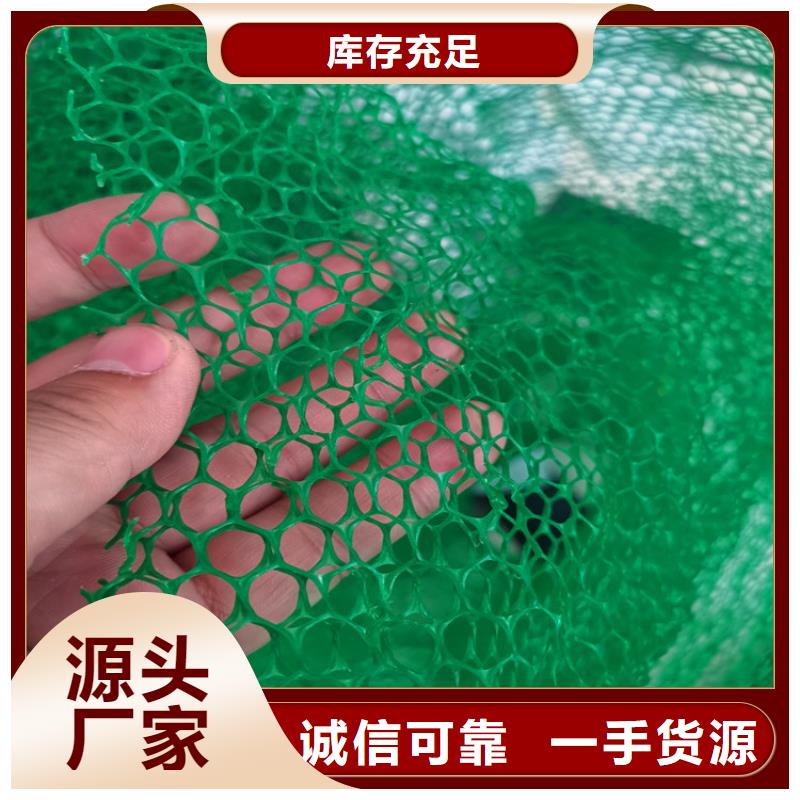 三维土工网垫来厂考察