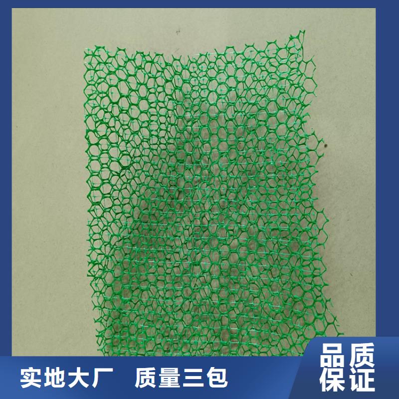 三维植被网,防渗膜实地大厂