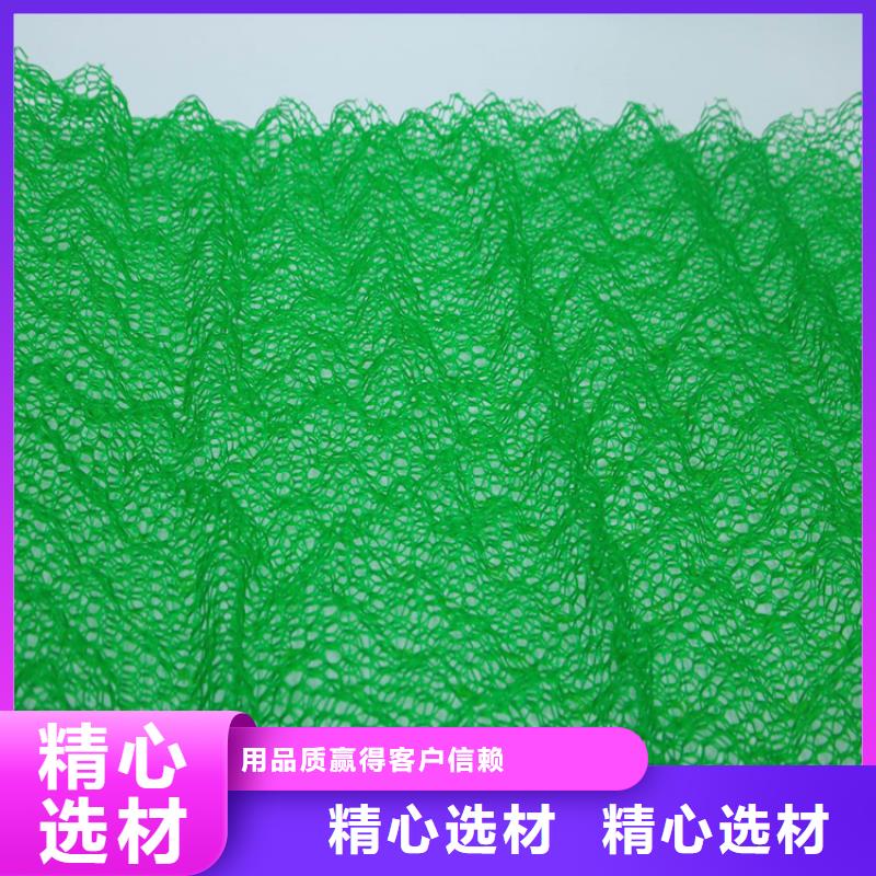 三维植被网,防渗膜实地大厂