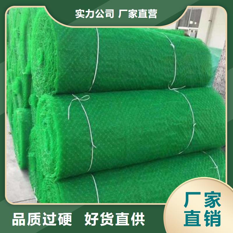 三维植草护坡网垫-EM4三维植被网代理批发/哪里有卖的